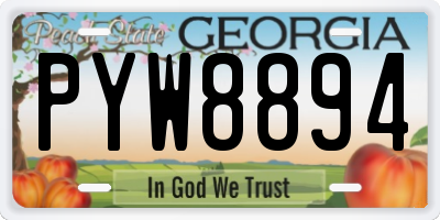 GA license plate PYW8894
