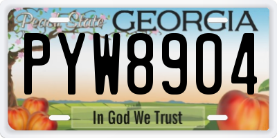 GA license plate PYW8904