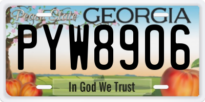 GA license plate PYW8906