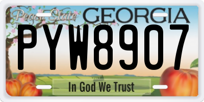 GA license plate PYW8907