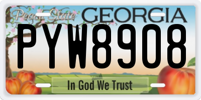 GA license plate PYW8908