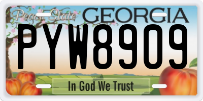 GA license plate PYW8909