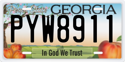 GA license plate PYW8911