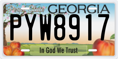 GA license plate PYW8917