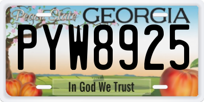 GA license plate PYW8925