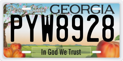 GA license plate PYW8928