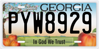 GA license plate PYW8929