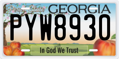GA license plate PYW8930