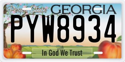 GA license plate PYW8934