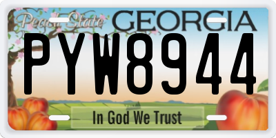 GA license plate PYW8944