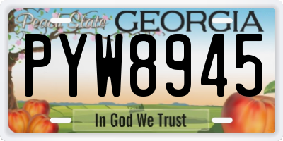 GA license plate PYW8945