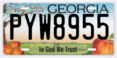 GA license plate PYW8955