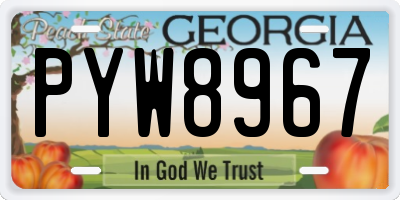 GA license plate PYW8967
