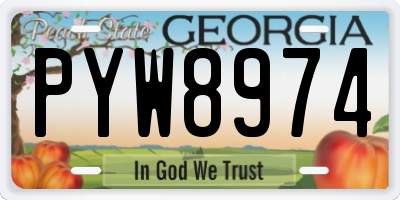 GA license plate PYW8974