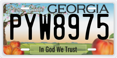 GA license plate PYW8975