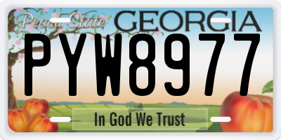 GA license plate PYW8977