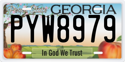 GA license plate PYW8979