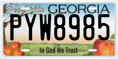 GA license plate PYW8985