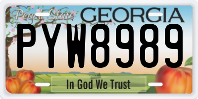 GA license plate PYW8989