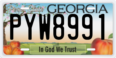 GA license plate PYW8991