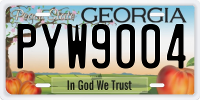 GA license plate PYW9004