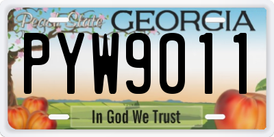 GA license plate PYW9011