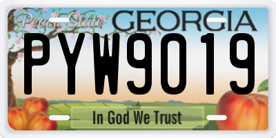 GA license plate PYW9019
