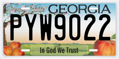 GA license plate PYW9022