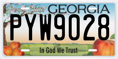 GA license plate PYW9028