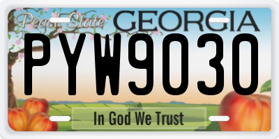 GA license plate PYW9030
