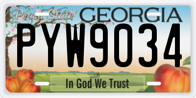GA license plate PYW9034