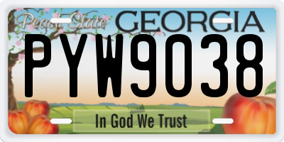 GA license plate PYW9038