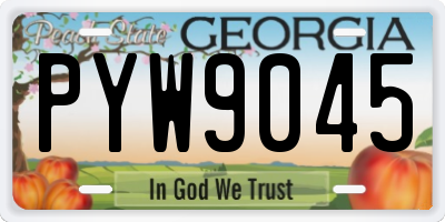 GA license plate PYW9045