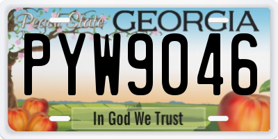 GA license plate PYW9046