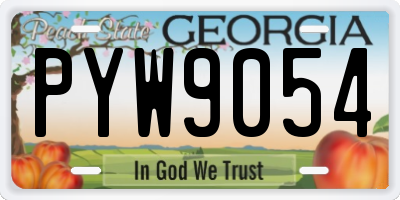 GA license plate PYW9054