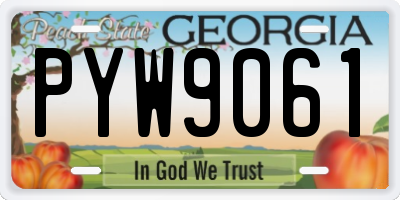 GA license plate PYW9061