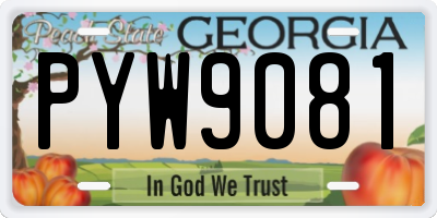 GA license plate PYW9081