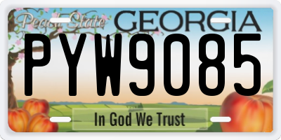 GA license plate PYW9085