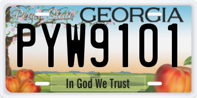 GA license plate PYW9101