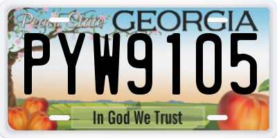 GA license plate PYW9105