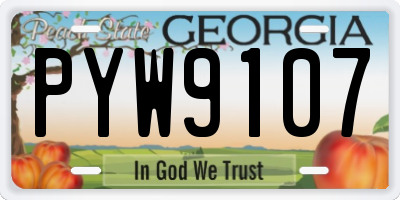 GA license plate PYW9107