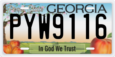 GA license plate PYW9116