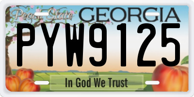 GA license plate PYW9125