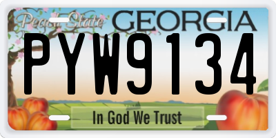 GA license plate PYW9134
