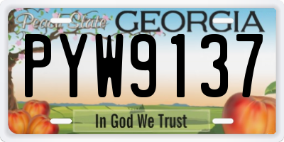 GA license plate PYW9137