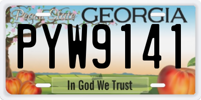 GA license plate PYW9141