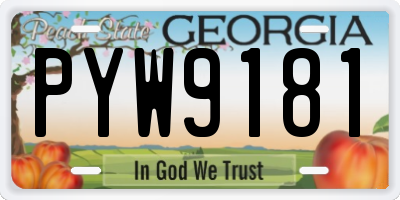 GA license plate PYW9181
