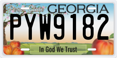 GA license plate PYW9182
