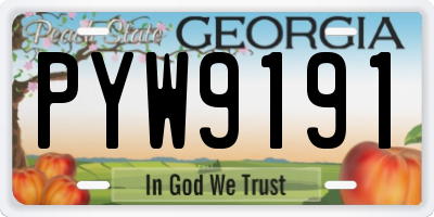GA license plate PYW9191