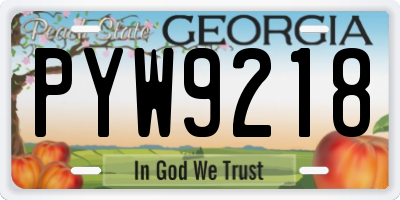 GA license plate PYW9218